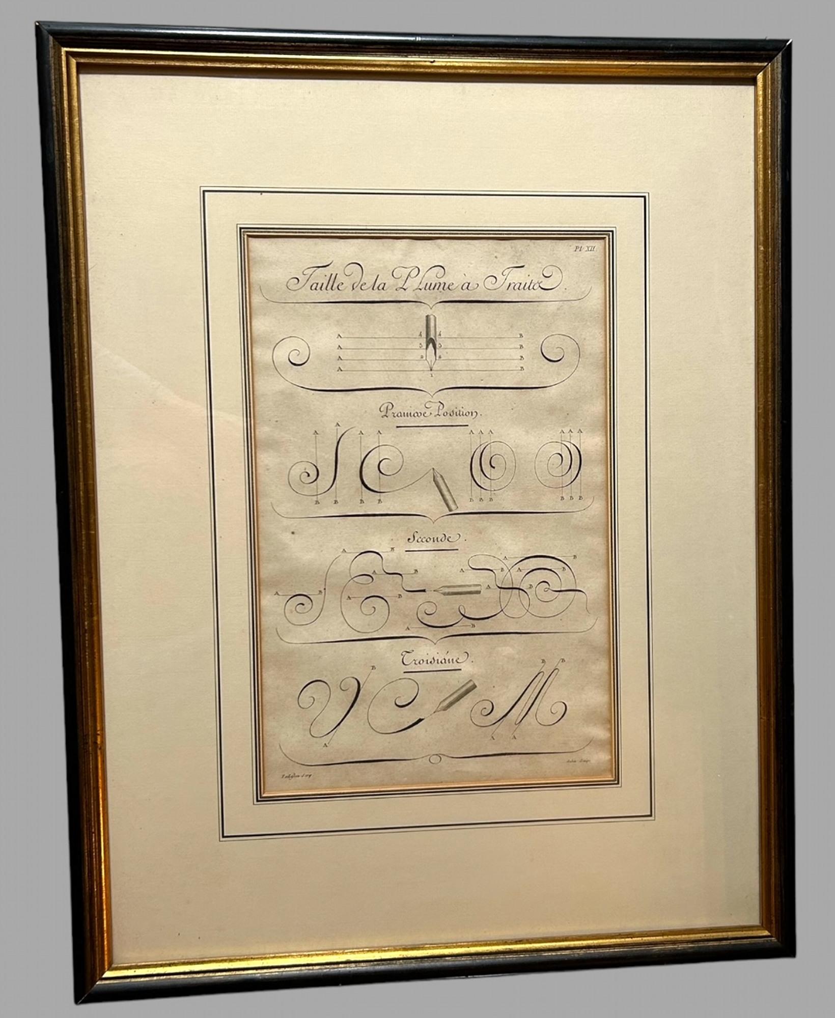 Paper A Set of Eight Charles Paillasson's L'Art d'Ecrire Plates Framed For Sale