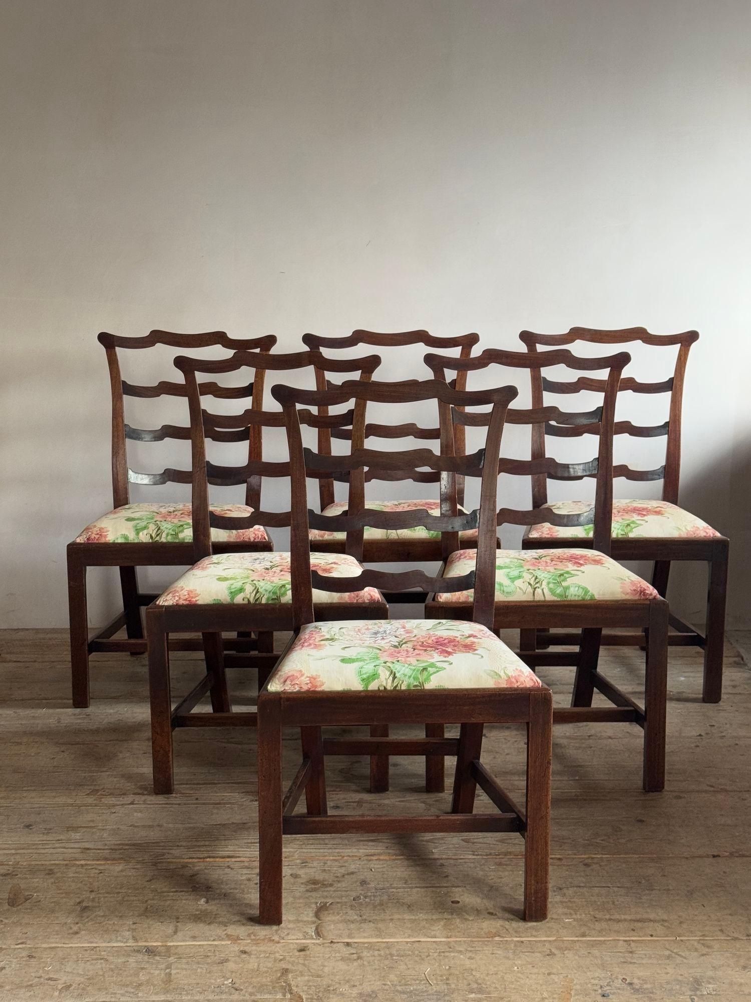 A set of eight Georgian dining chairs 5
