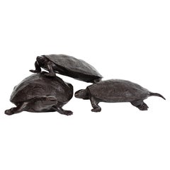 Conjunto de estatuas animales de tortugas triples de bronce asiático finamente fundidas