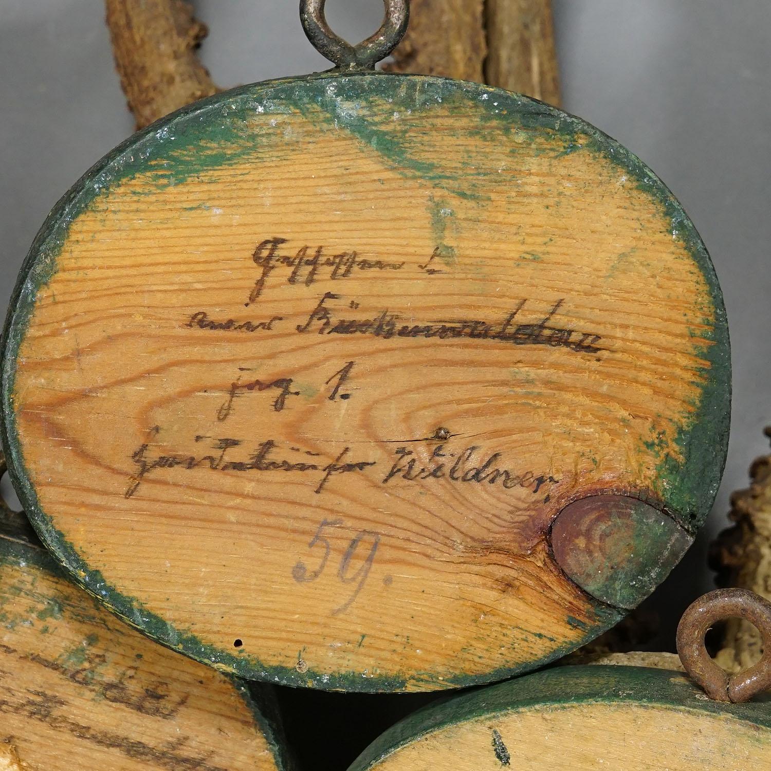 Ensemble de cinq trophées anciens de cerfs de Black Forest sur plaques de bois 1880s en vente 1