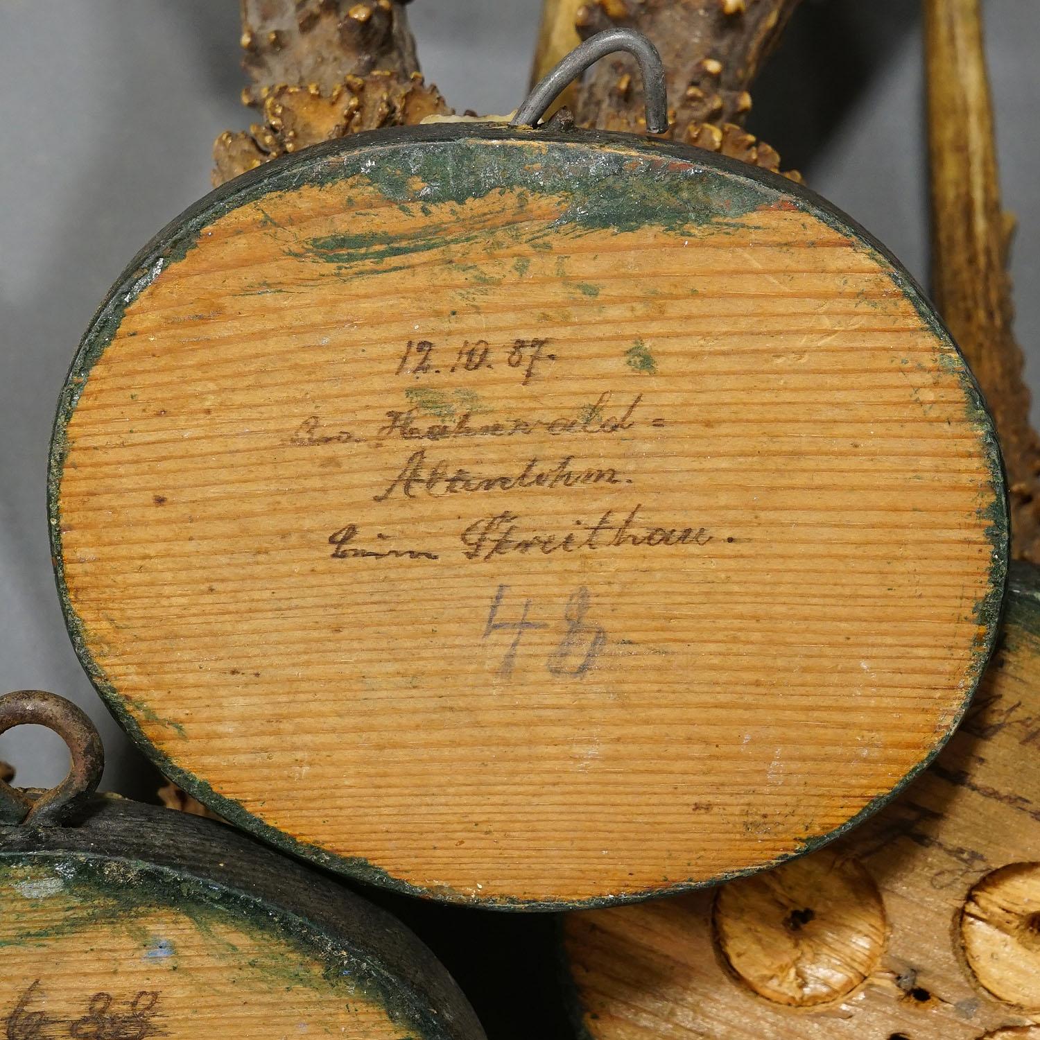 Ensemble de cinq trophées anciens de cerfs de Black Forest sur plaques de bois 1880s en vente 2