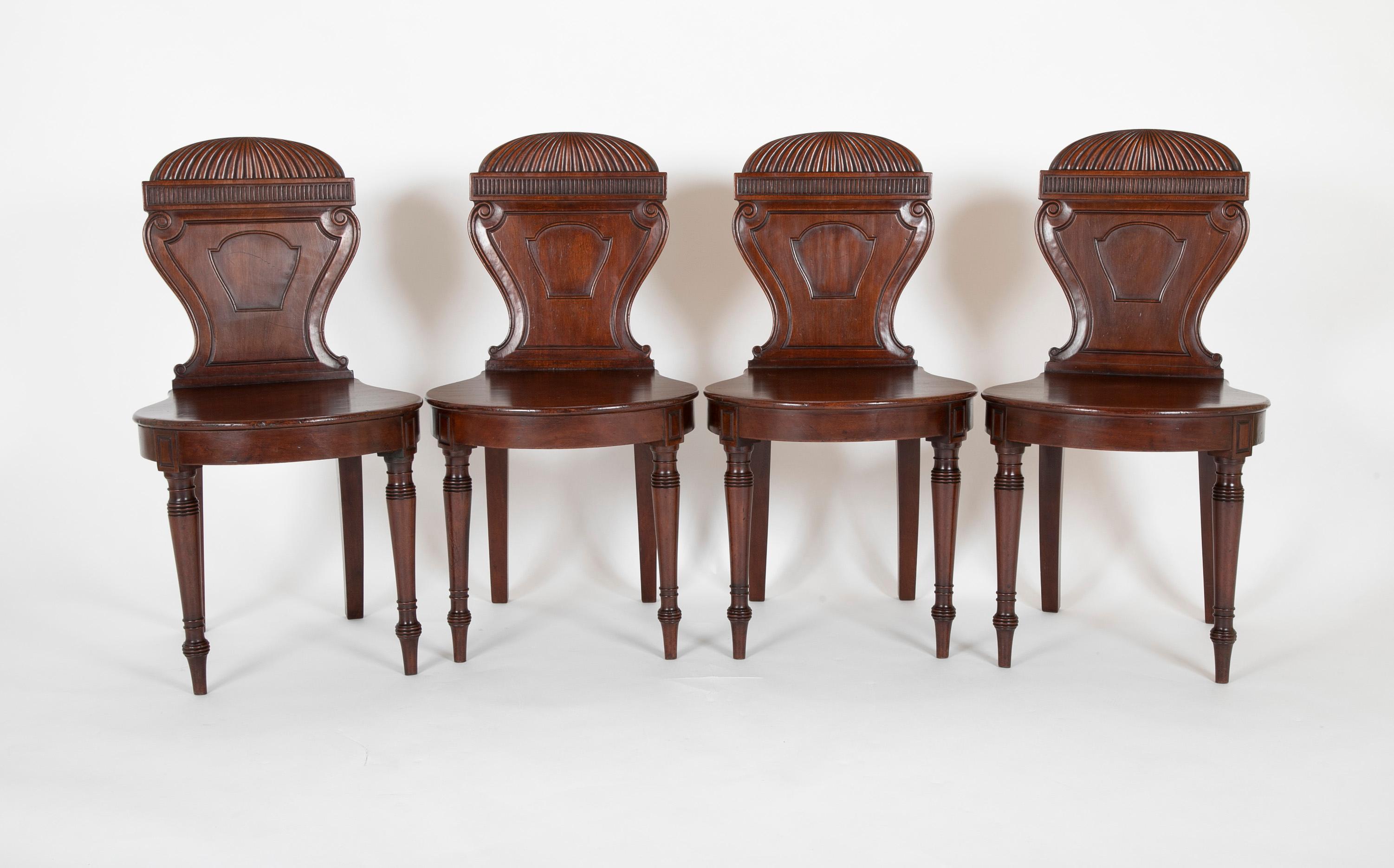 A set of mahogany hall chairs circa 1850. Gadrooned balloon form backs and saber legs with unpadded seats.