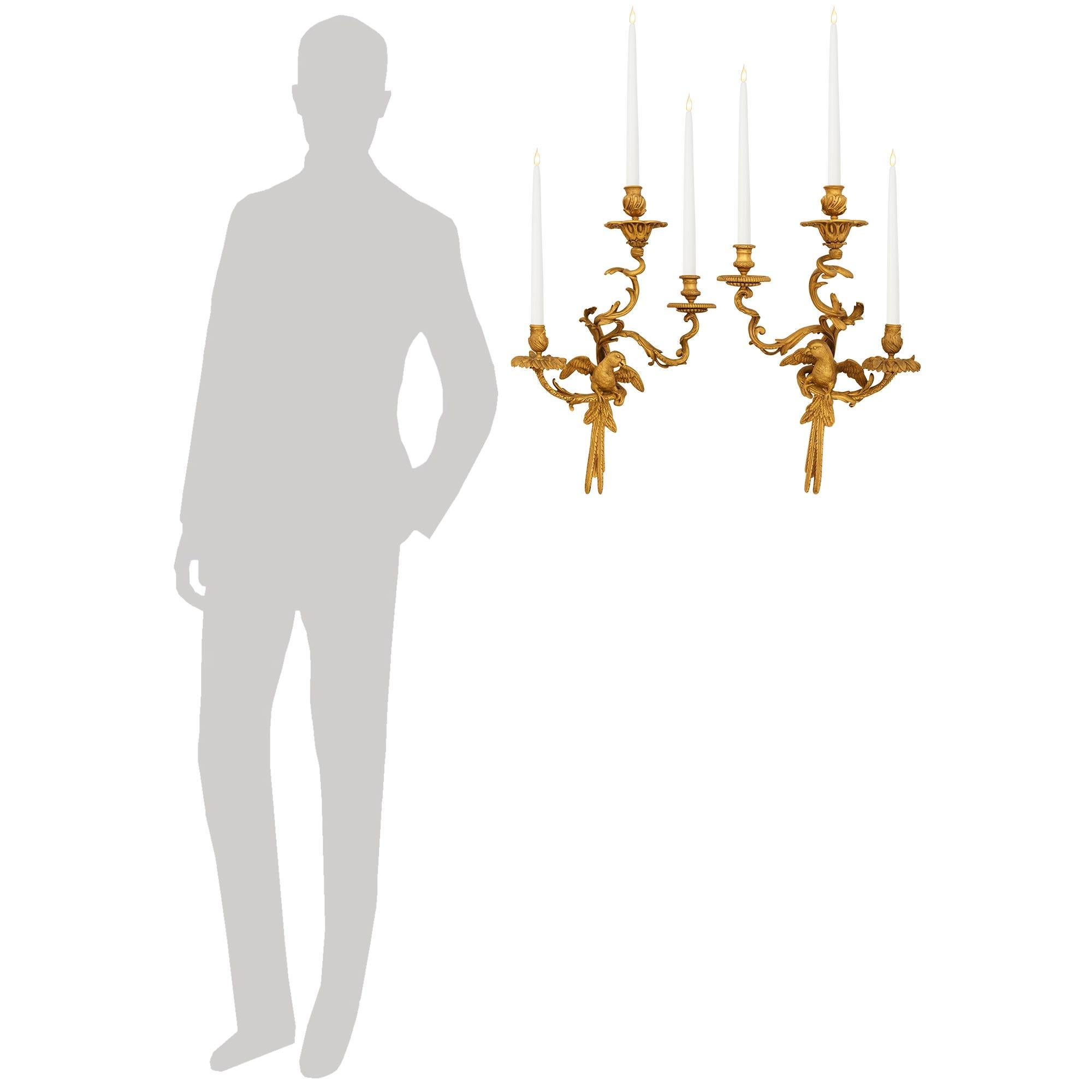 A stunning and high quality set of four French 19th century Louis XV st. Ormolu Parrot sconces. Each most charming three arm sconce has a richly chased and most decorative Parrot standing on a scrolled branch. The branch leads to a foliate saucer