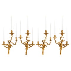 A set of four French 19th century Louis XV st. Ormolu Parrot sconces