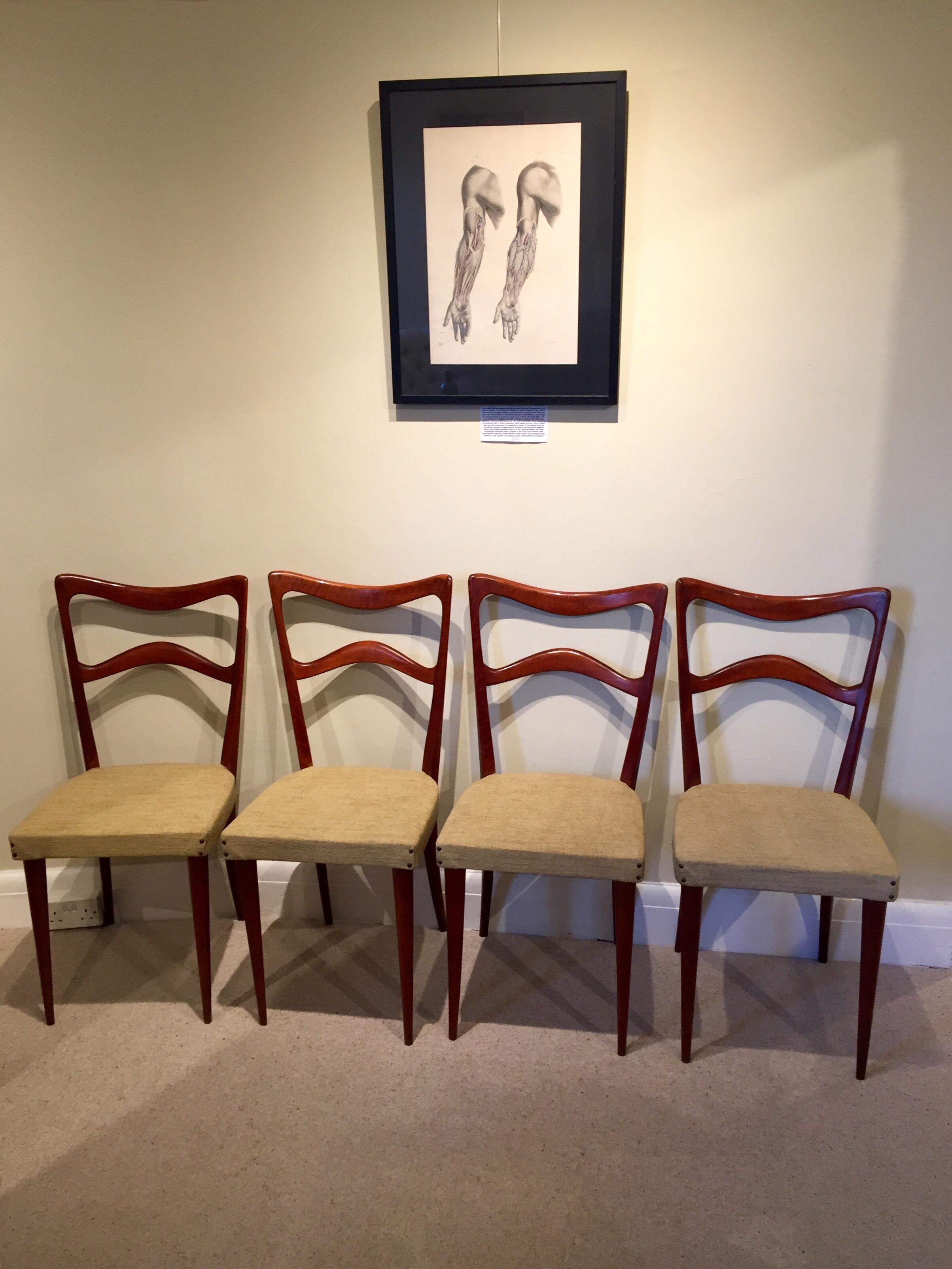Stained Set of Four Italian Midcentury Beech Dining Chairs by Consorzio Sedie Friuli For Sale