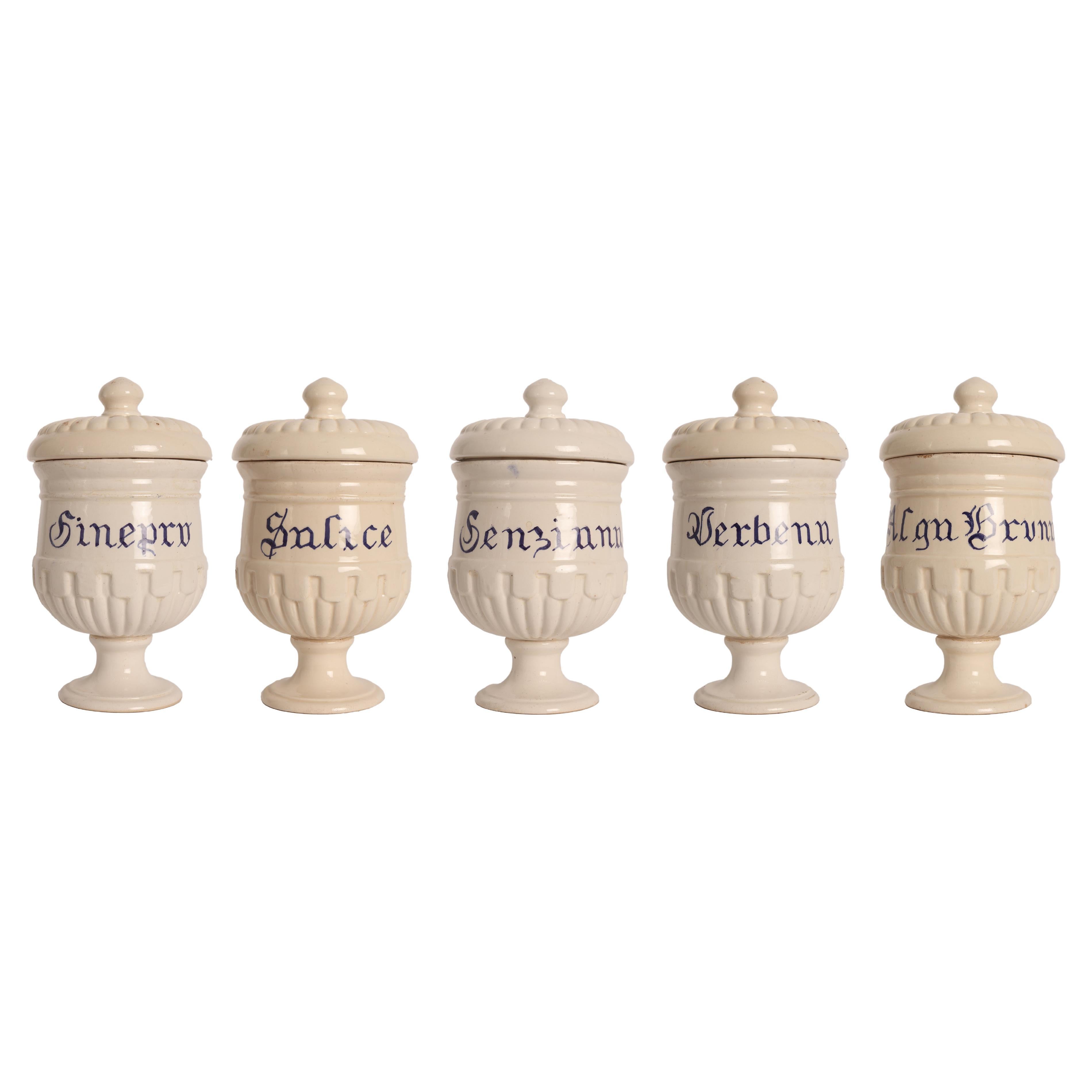 Set of Herbalist Pharmacy Ceramic Jars, Italy 1890
