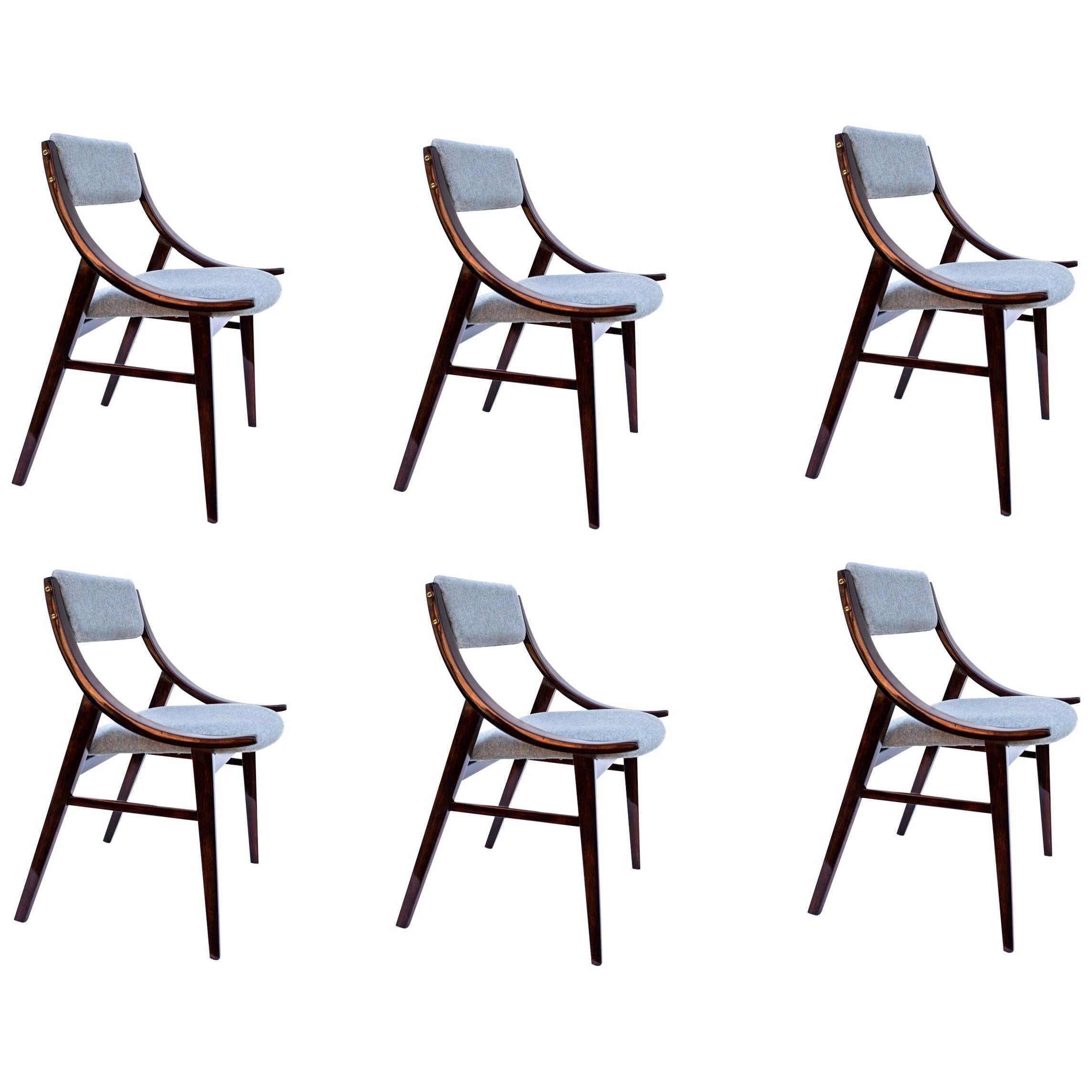 Set of Jumper Chairs by Juliusz Kędziorek, Poland, 1960s For Sale