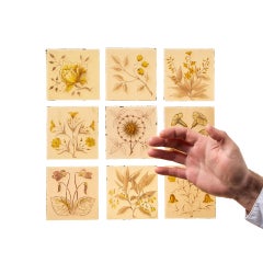 A Set Of Nine Hand Painted Fired Glass Panels After Basilius Besler