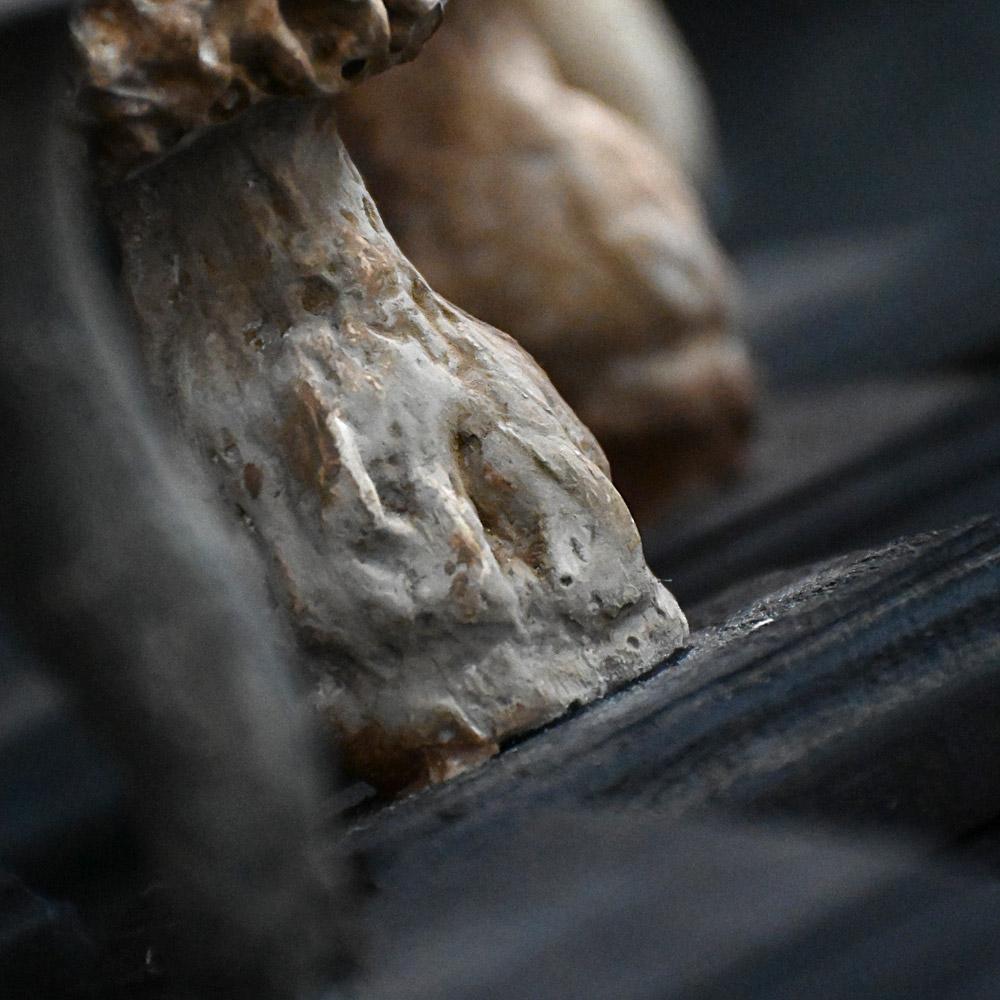 Un set di diciassette funghi scientifici/botanici realizzati a mano alla metà del XX secolo. In condizioni buone in vendita a London, GB