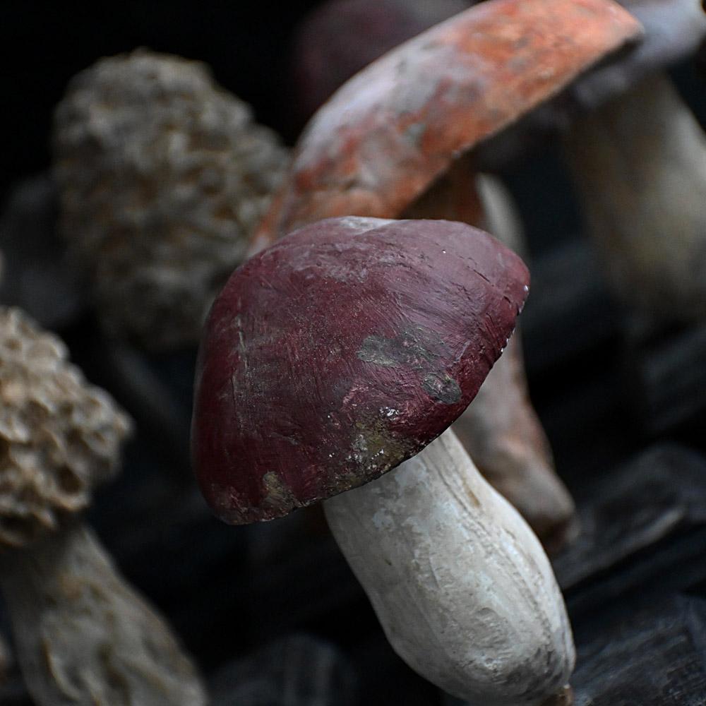 Un set di diciassette funghi scientifici/botanici realizzati a mano alla metà del XX secolo. in vendita 1