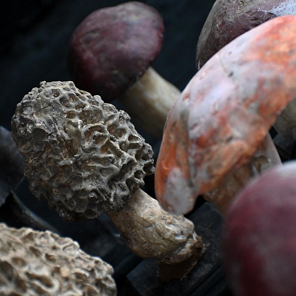 Un set di diciassette funghi scientifici/botanici realizzati a mano alla metà del XX secolo. in vendita 2