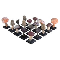 Ensemble de dix-sept champignons scientifiques/botaniques fabriqués à la main au milieu du 20e siècle.