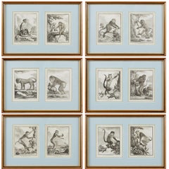 Set of Six 18th Century French Monkey Engravings in Frames with Blue Mounts