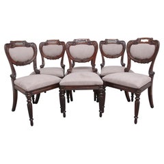 Ensemble de six chaises de salle à manger en bois de rose anglo-indien