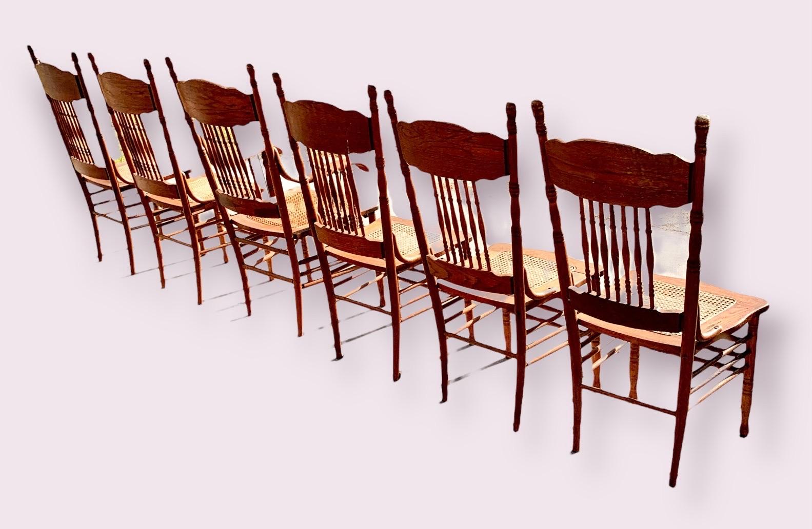 A set of six charming antique late 19th century American red oak press back dining chairs including five side chairs and one arm chair, having hand woven cane seats in impeccable condition. These are a charming slice of American history,