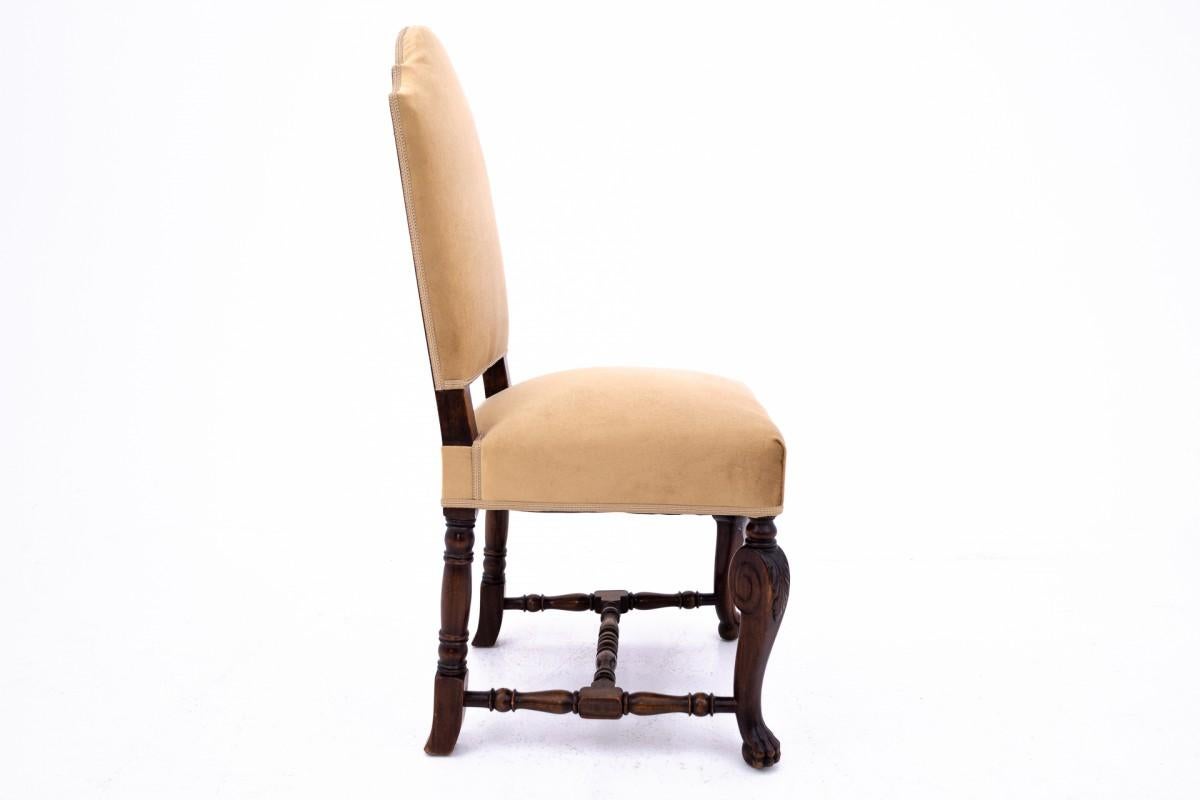 Un ensemble de six chaises anciennes datant d'environ 1900, Europe occidentale. Après la rénovation en vente 6