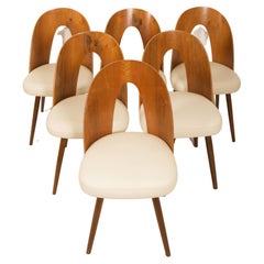 Ensemble de six chaises de salle à manger de style mi-siècle moderne par Antonin Suman pour Tatra