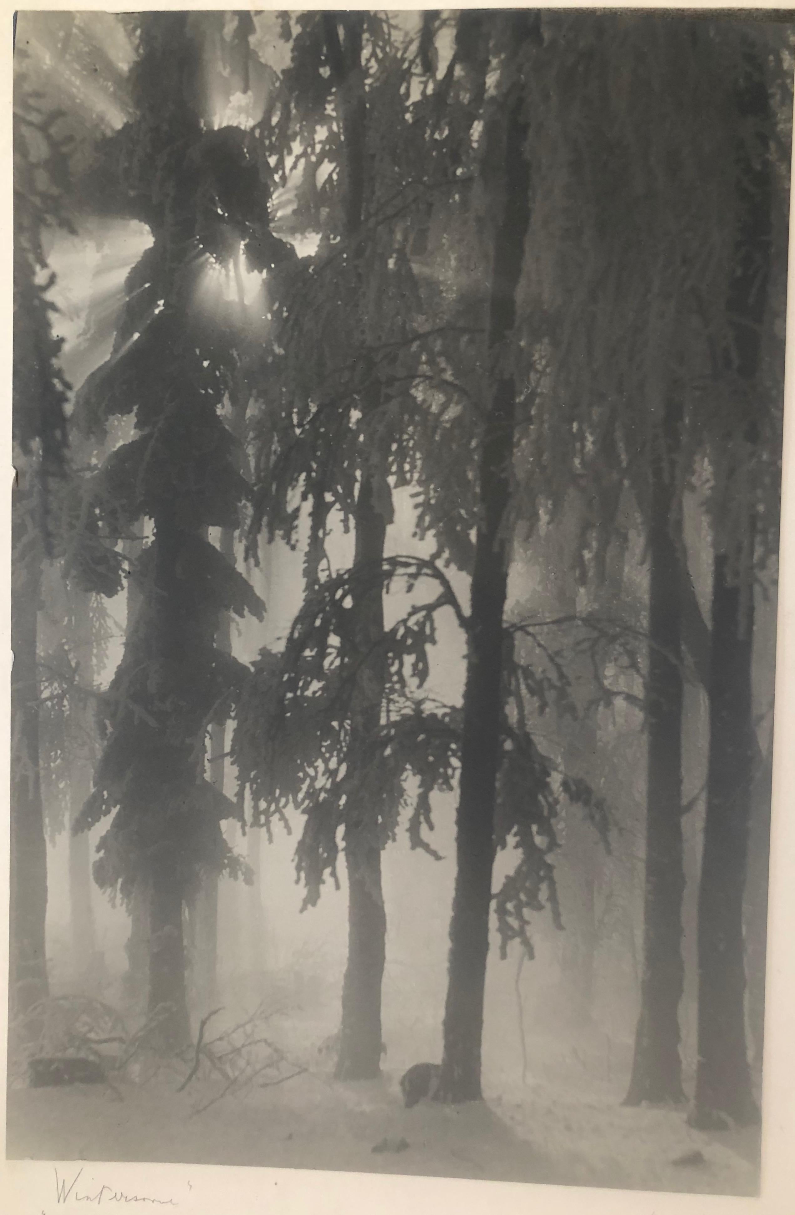 Satz von drei Kunstfotografien von Fritz Grgl, Österreich, 1932 (Papier) im Angebot