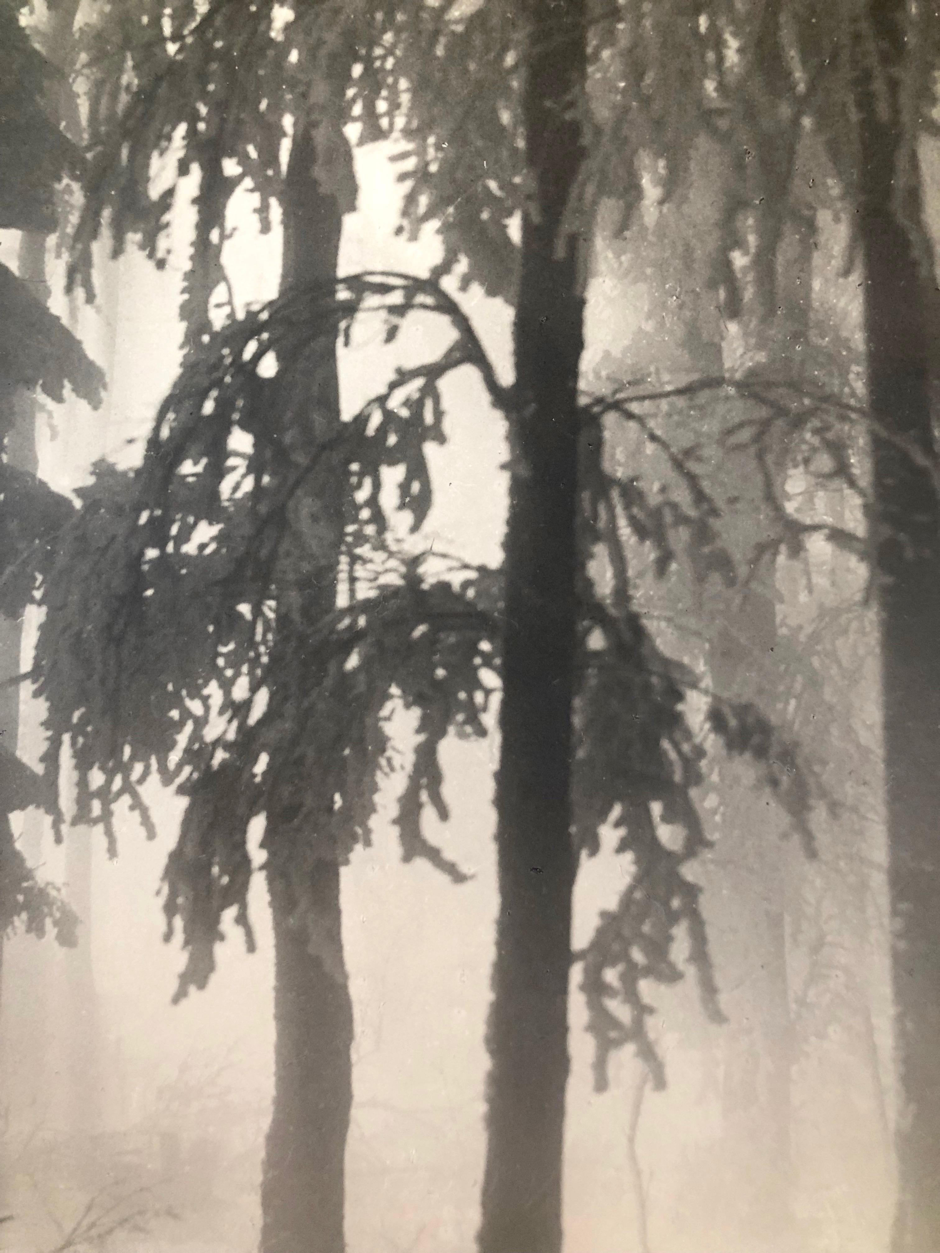Satz von drei Kunstfotografien von Fritz Grgl, Österreich, 1932 im Angebot 1