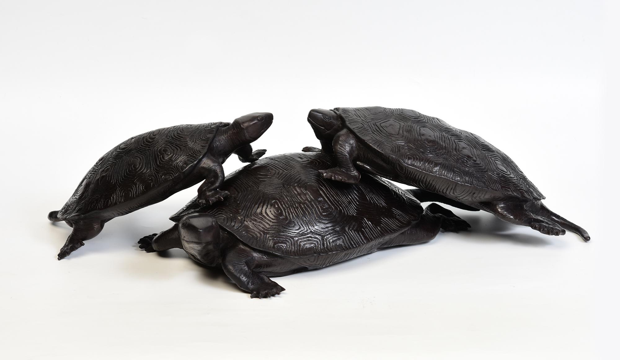 A set of three finely cast Asian bronze turtles.

The turtle is a symbol of good luck and longevity.

Age: Contemporary

Size of each turtle;
Small    : Length 30 C.M. / Width 19.5 C.M. / Height 7.7 C.M.
Medium: Length 32.6 C.M. / Width 18.2 C.M. /