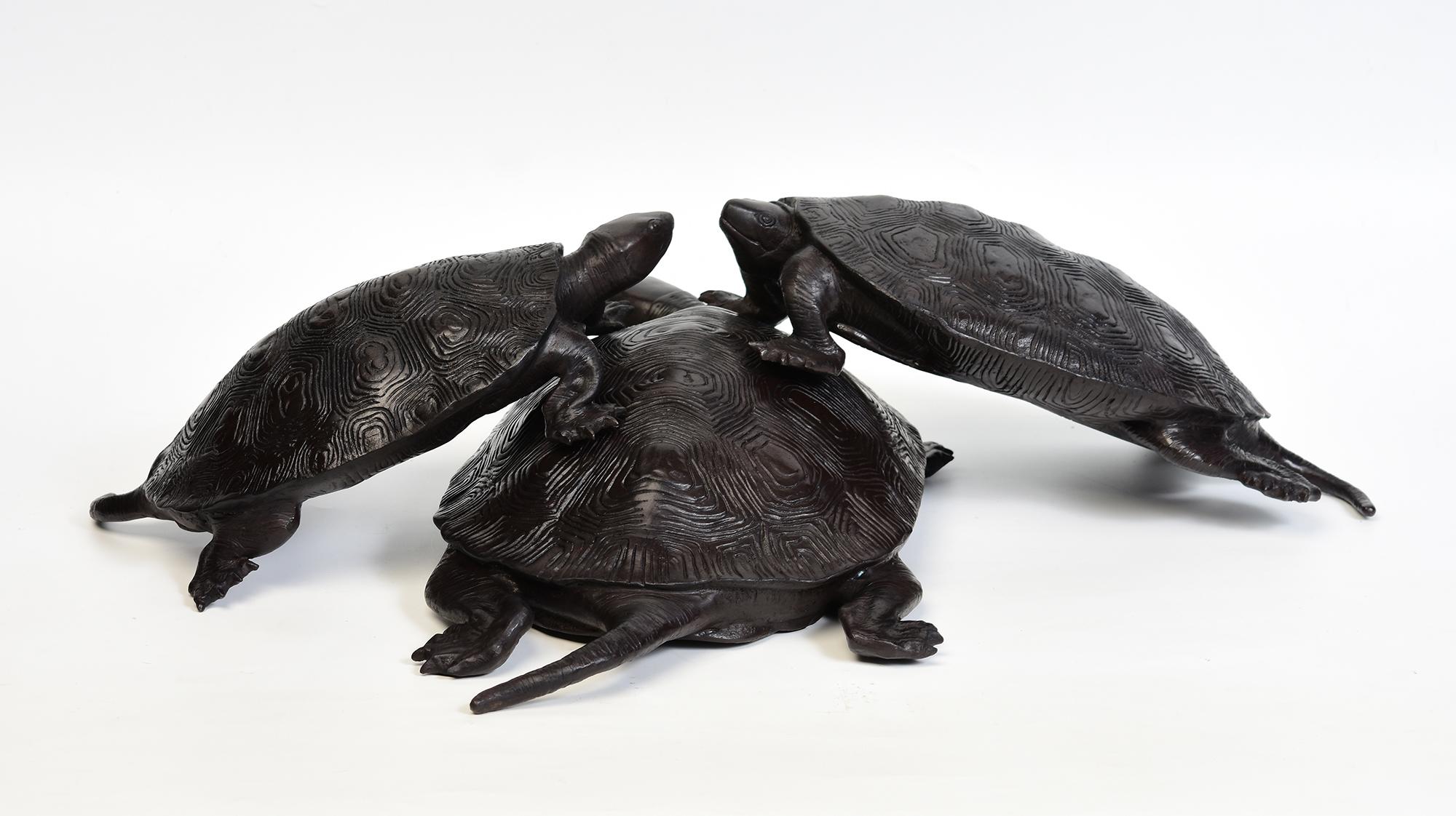 A Set of Three Finely Cast Asian Bronze Turtles For Sale 2