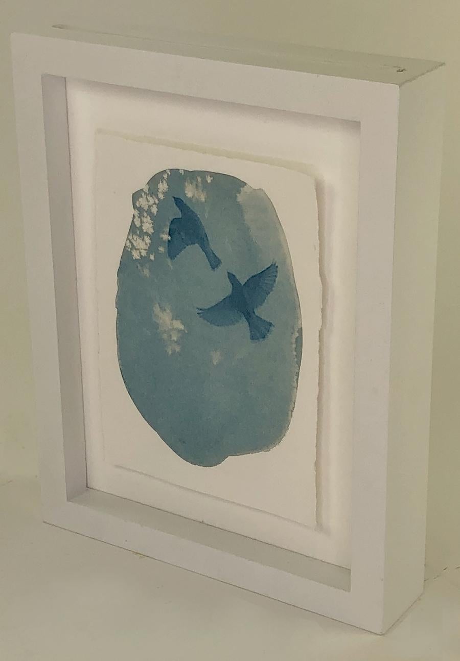 Ensemble de trois tirages cyanotypes encadrés de l'artiste Sara L. Morton en vente 7