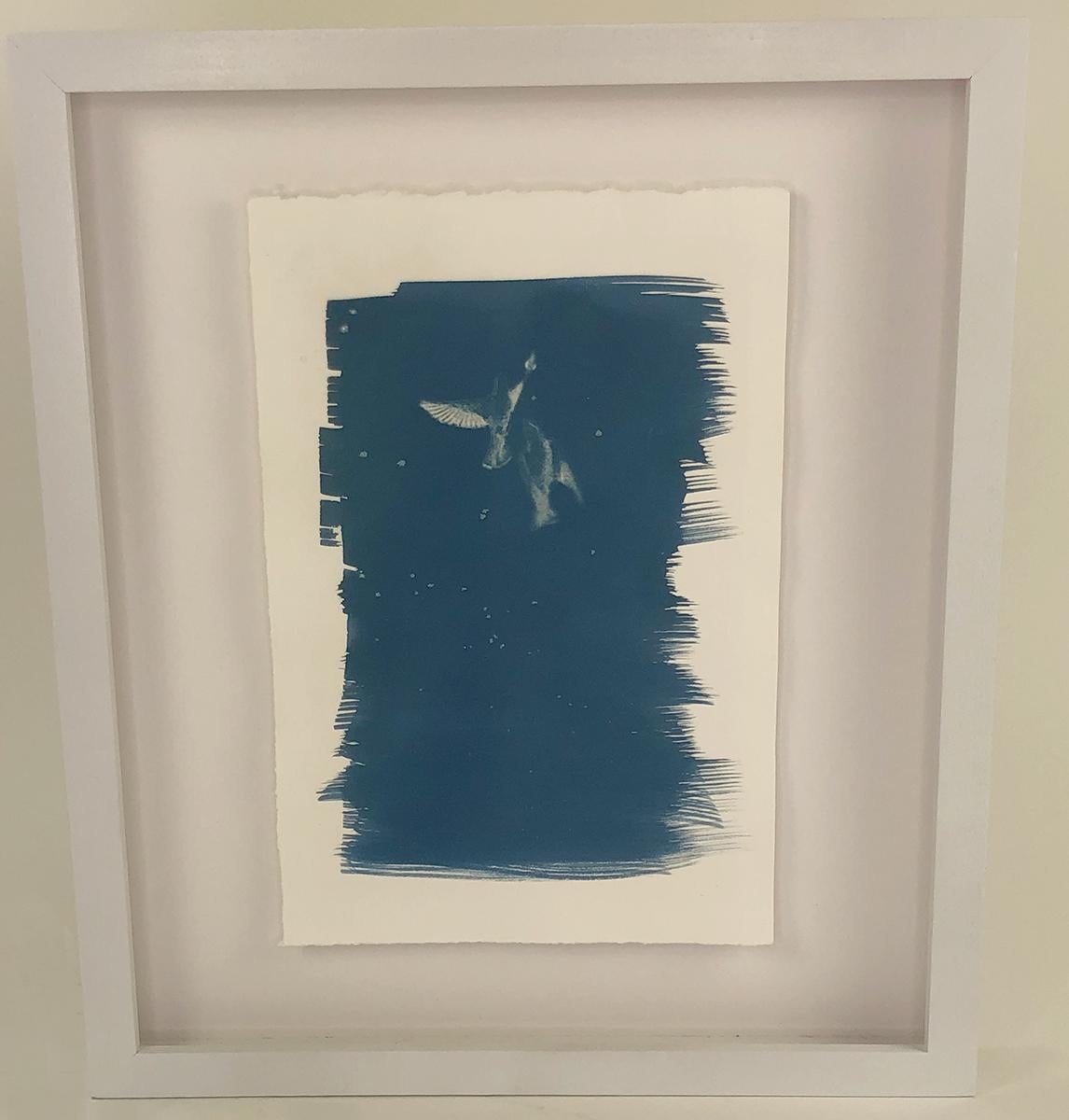 This set of elegantly framed cyanotype prints were created by Artist Sarah L. Morton in 2021. Sarah is an alternative process & abstract artist from Atlanta, GA. All prints are cyanotype on Stonehenge paper floated in an open frame.

‘Lovers’