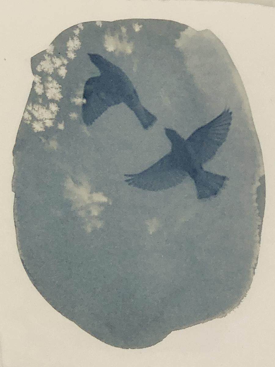 Ensemble de trois tirages cyanotypes encadrés de l'artiste Sara L. Morton en vente 3