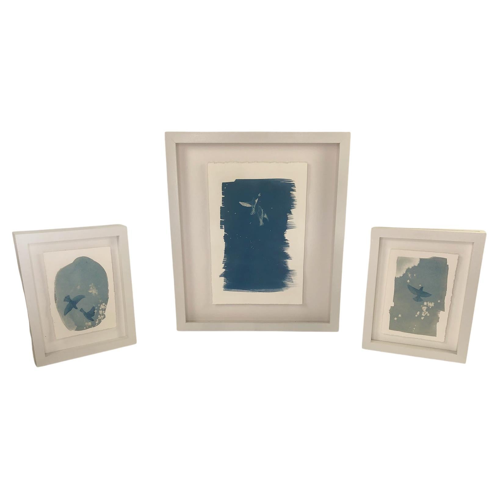 Ensemble de trois tirages cyanotypes encadrés de l'artiste Sara L. Morton