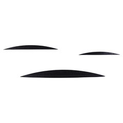 A Set of Three Radical " Arum " Shelves by Gilles Derain 1980s