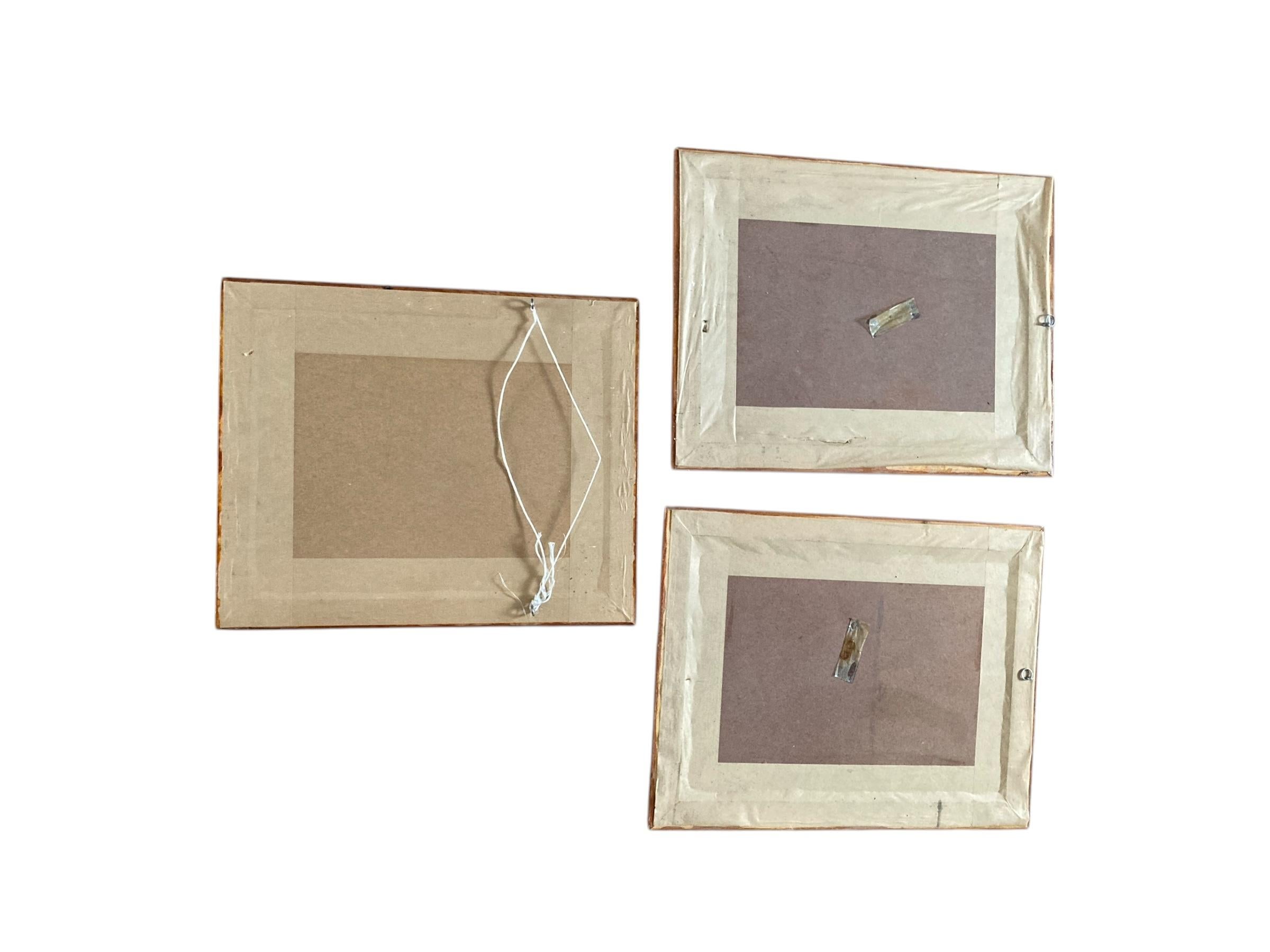 A set of Three Walnut framed Botanical and Bird Pictures Printed C Hall Mandel For Sale 2