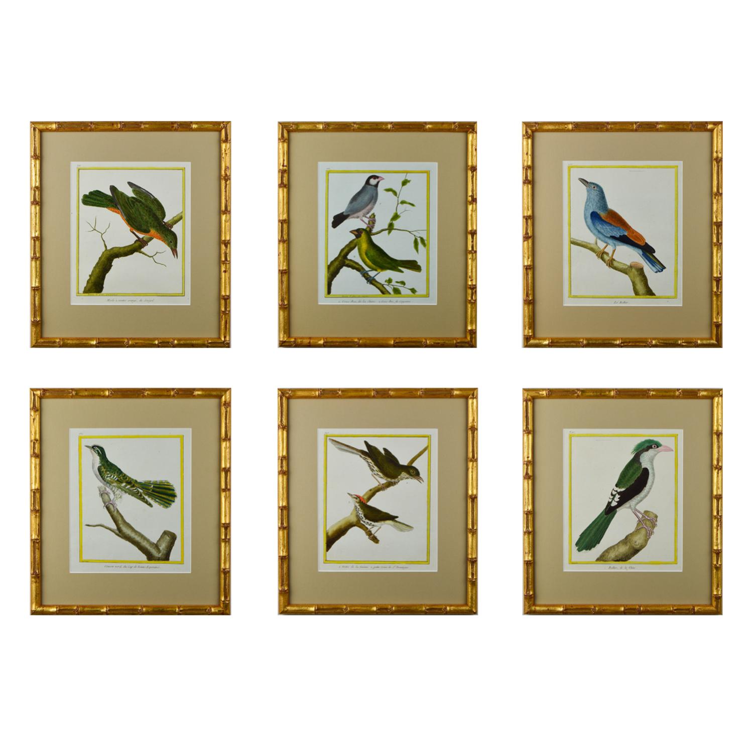 French Set of Twelve 18th Century Martinet Birds