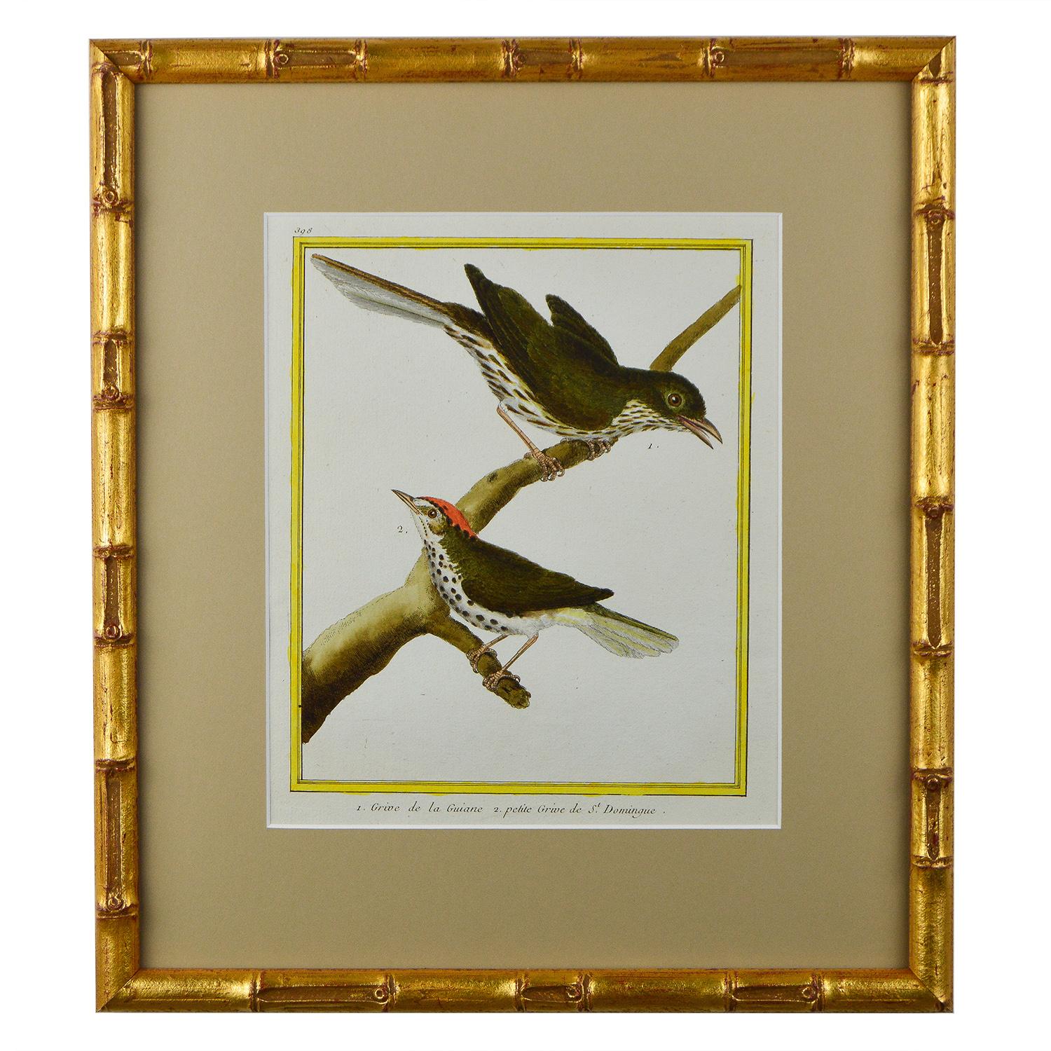 Set of Twelve 18th Century Martinet Birds 2