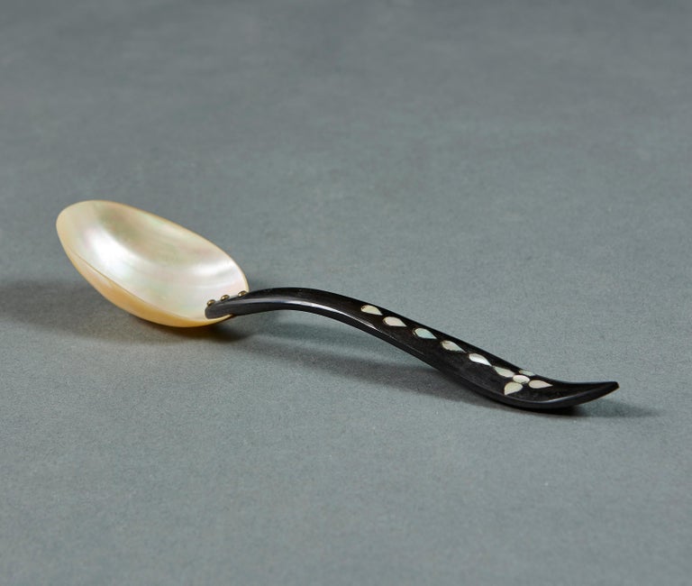 Set of Twelve Mother of Pearl Spoons For Sale at 1stDibs