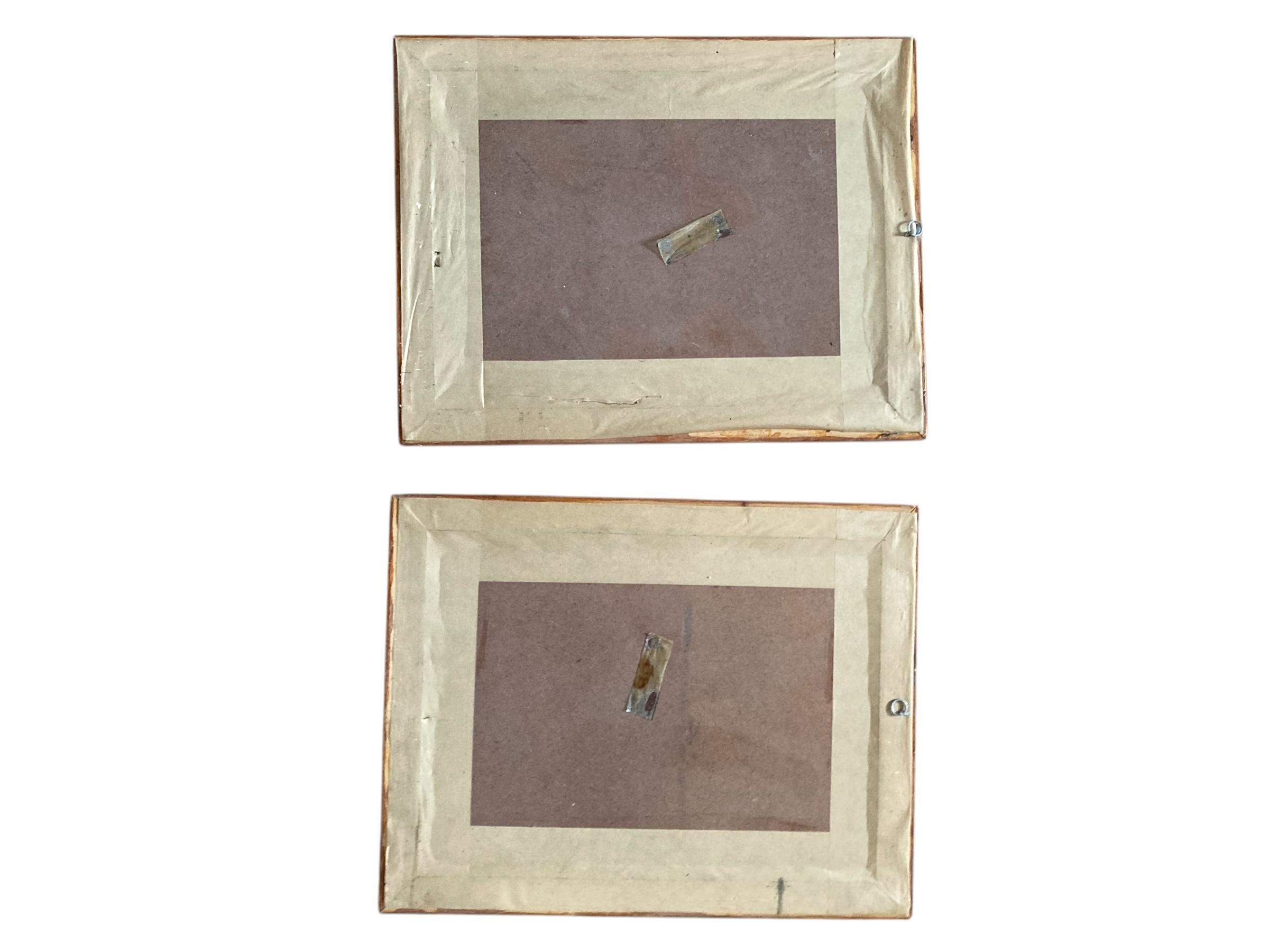 A set of two Bird Prints in a Walnut Frame Printed C Hall Mandel, 'Drawn from Na For Sale 1
