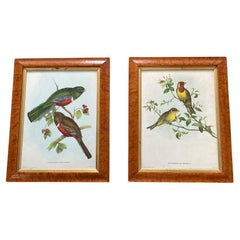 Ensemble de deux gravures d'oiseaux dans un cadre en noyer Imprimé C.I.C., 'Drawn from Na