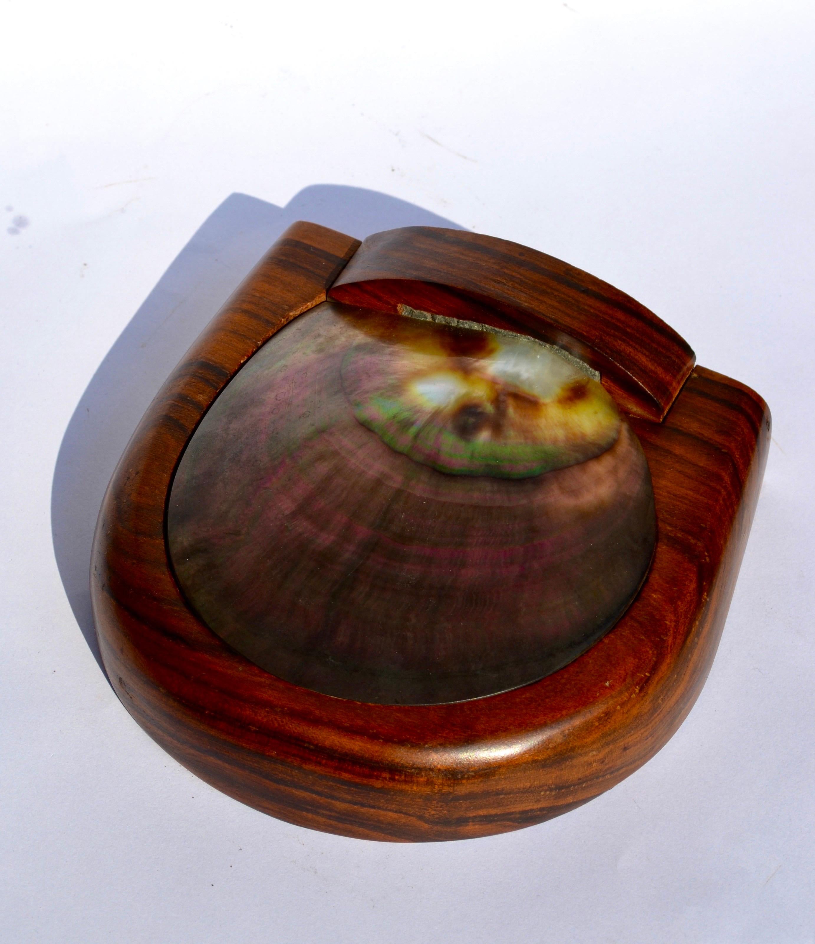 Mid-Century Modern A shell and carved wooden box in the style of Alexandre Noll, France, 1950s