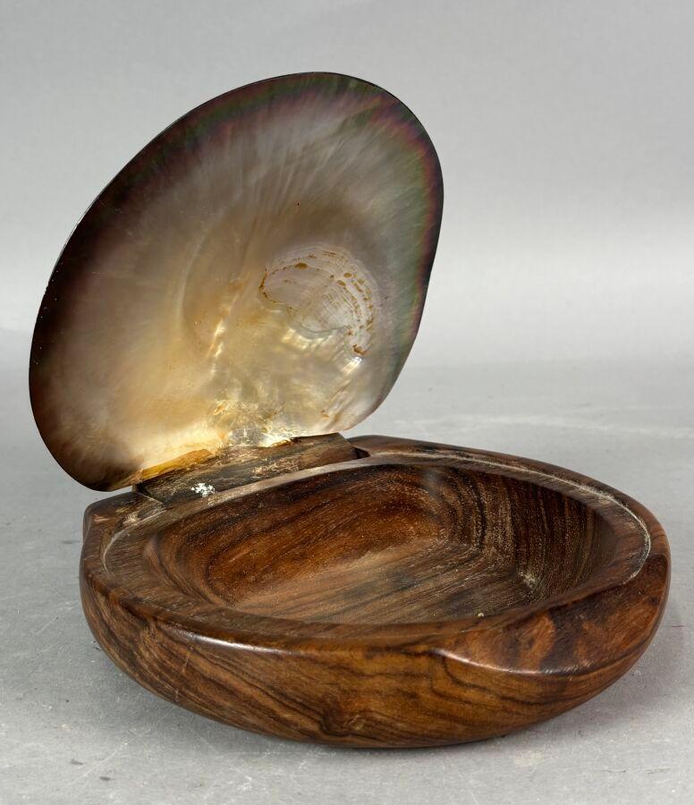 Mid-Century Modern A shell and carved wooden box in the style of Alexandre Noll, France, 1950s For Sale