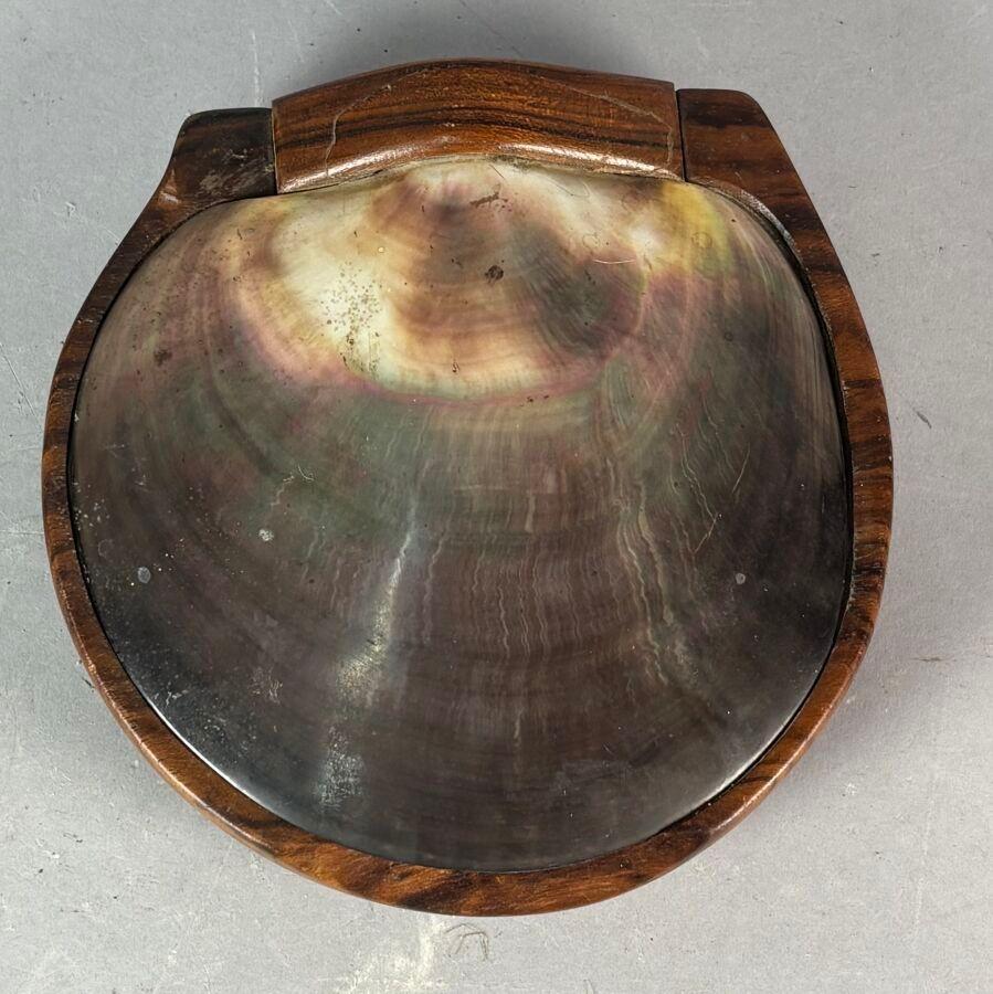 French A shell and carved wooden box in the style of Alexandre Noll, France, 1950s For Sale