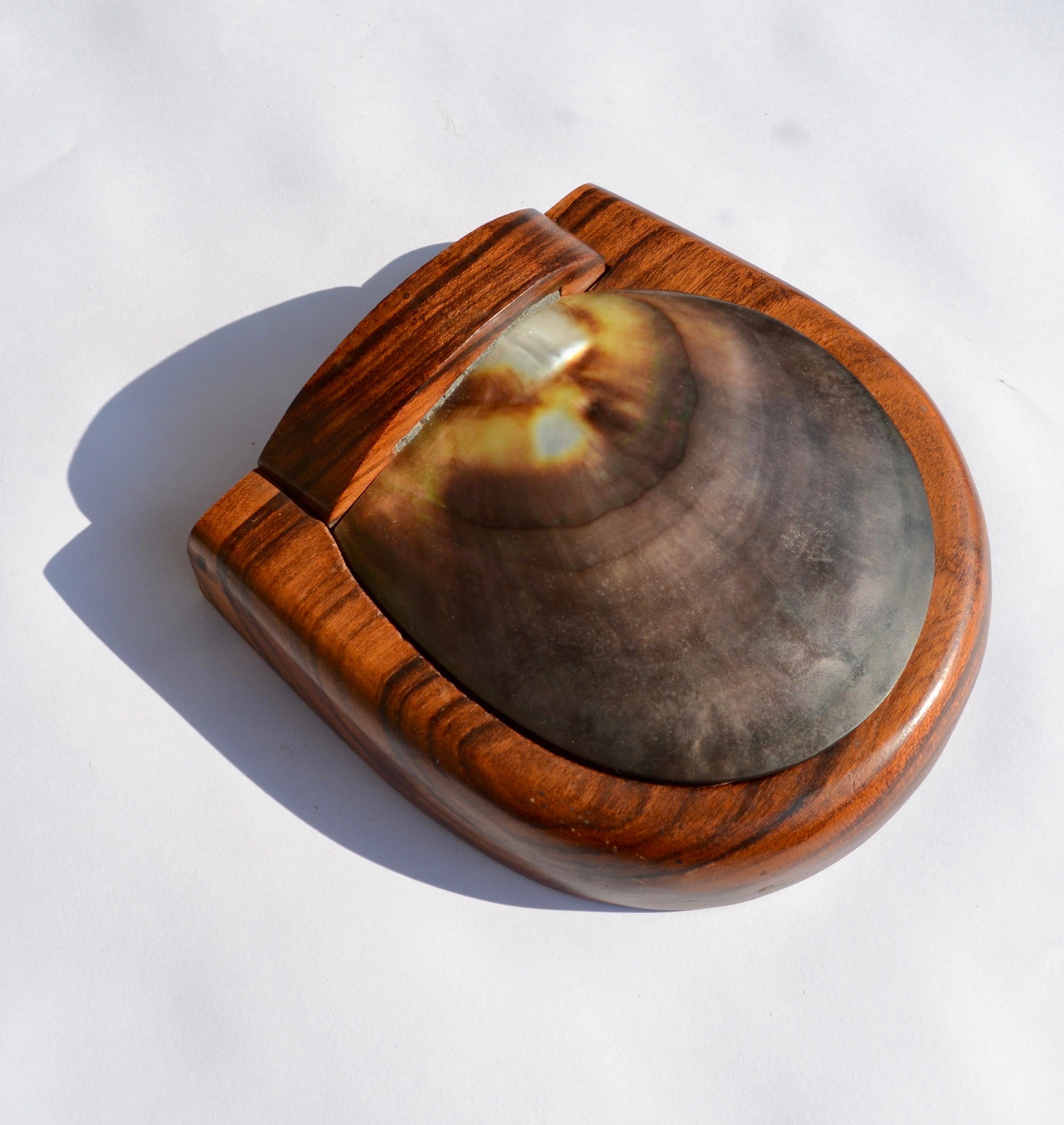 A shell and carved wooden box in the style of Alexandre Noll, France, 1950s In Good Condition In SOTTEVILLE-LÈS-ROUEN, FR