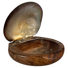 A shell and carved wooden box in the style of Alexandre Noll, France, 1950s