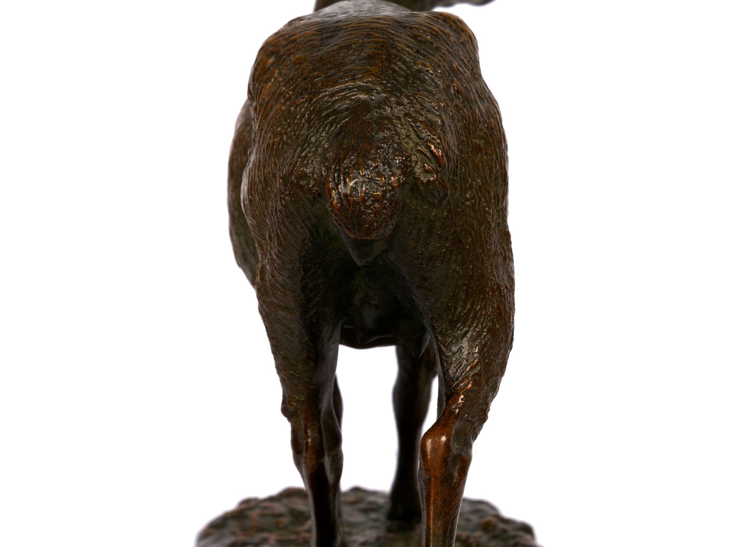 “A Shorn Lamb” French Antique Bronze Sculpture by Pierre-Albert Laplanche 6