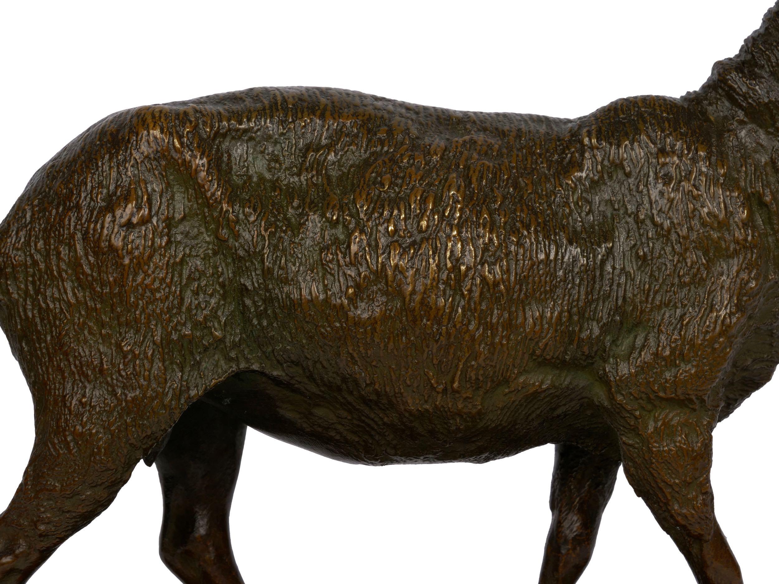 “A Shorn Lamb” French Antique Bronze Sculpture by Pierre-Albert Laplanche 7