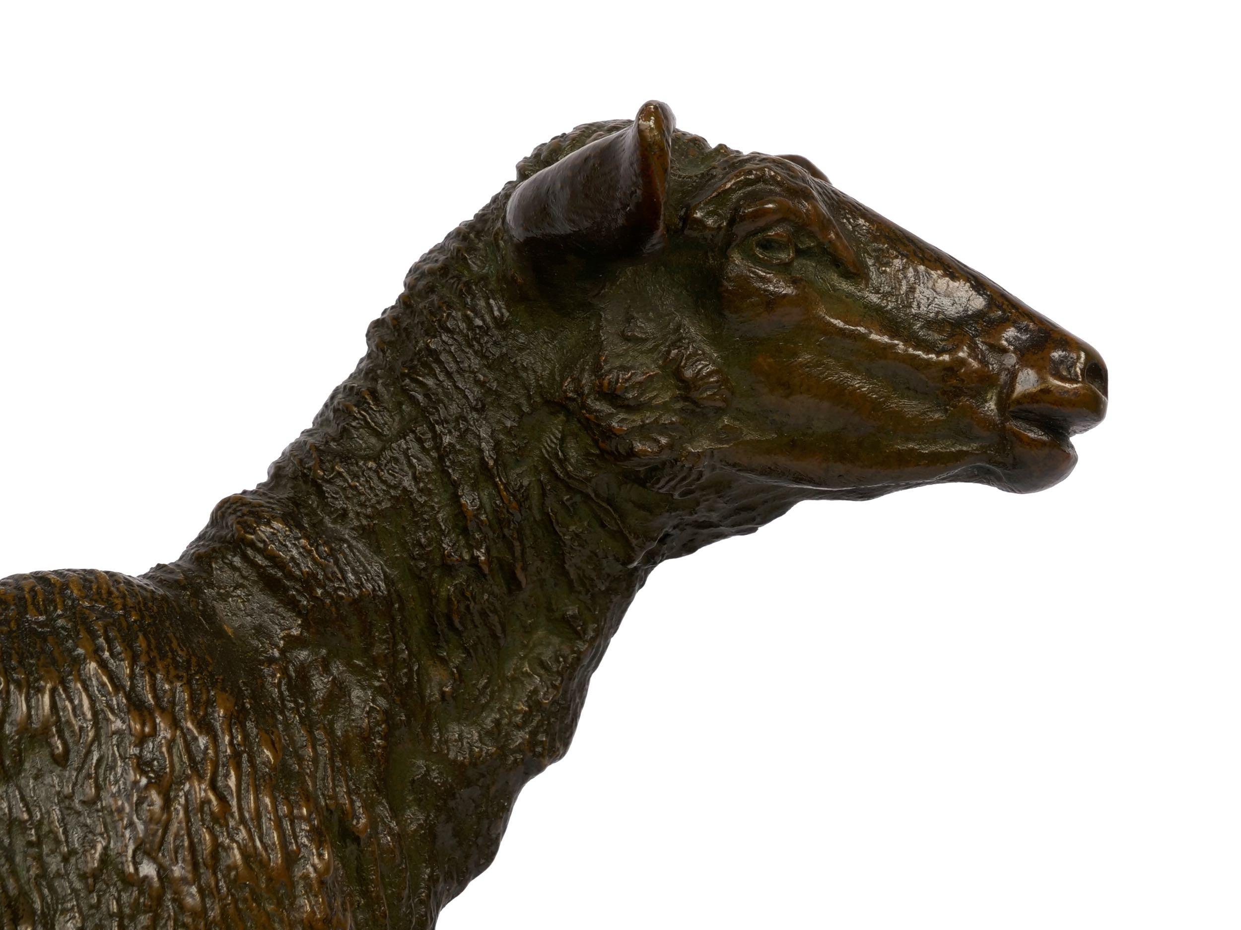 “A Shorn Lamb” French Antique Bronze Sculpture by Pierre-Albert Laplanche 8