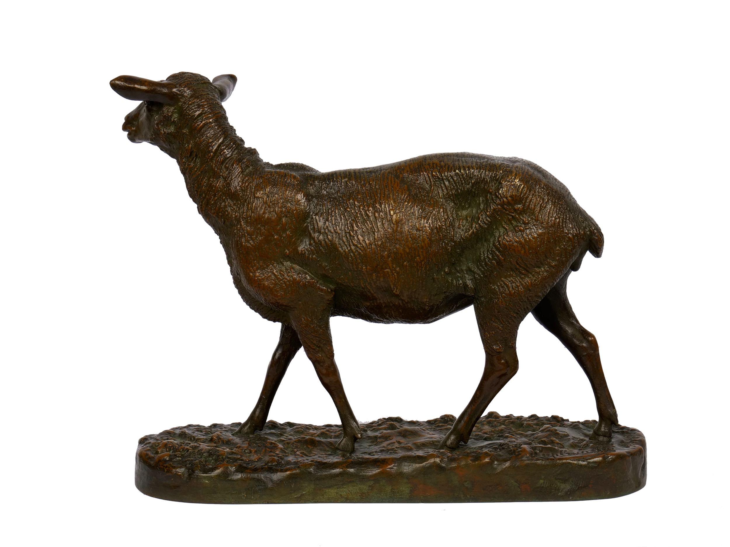 “A Shorn Lamb” French Antique Bronze Sculpture by Pierre-Albert Laplanche 1