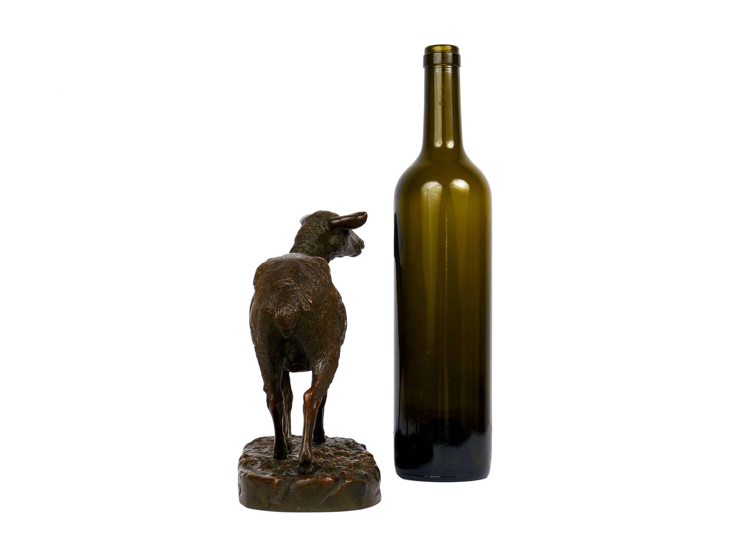 “A Shorn Lamb” French Antique Bronze Sculpture by Pierre-Albert Laplanche 2