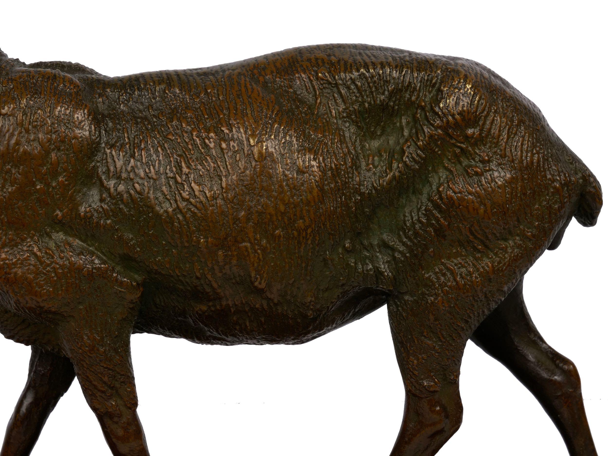 “A Shorn Lamb” French Antique Bronze Sculpture by Pierre-Albert Laplanche 4