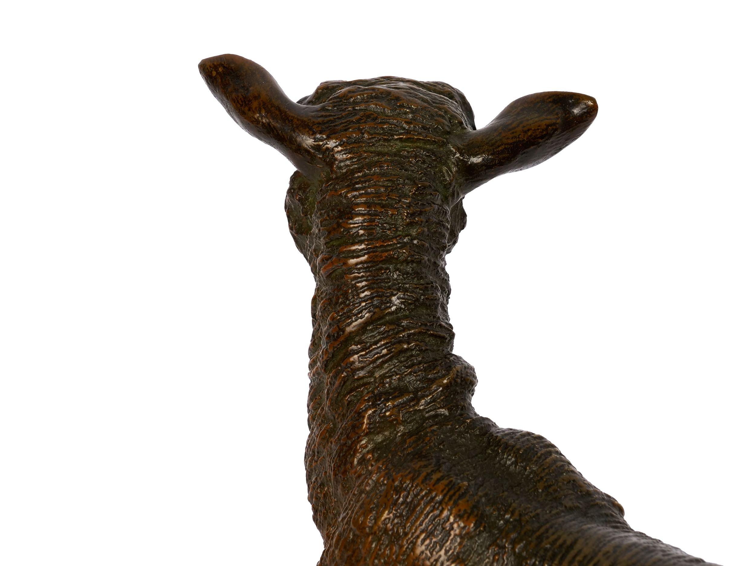 “A Shorn Lamb” French Antique Bronze Sculpture by Pierre-Albert Laplanche 5