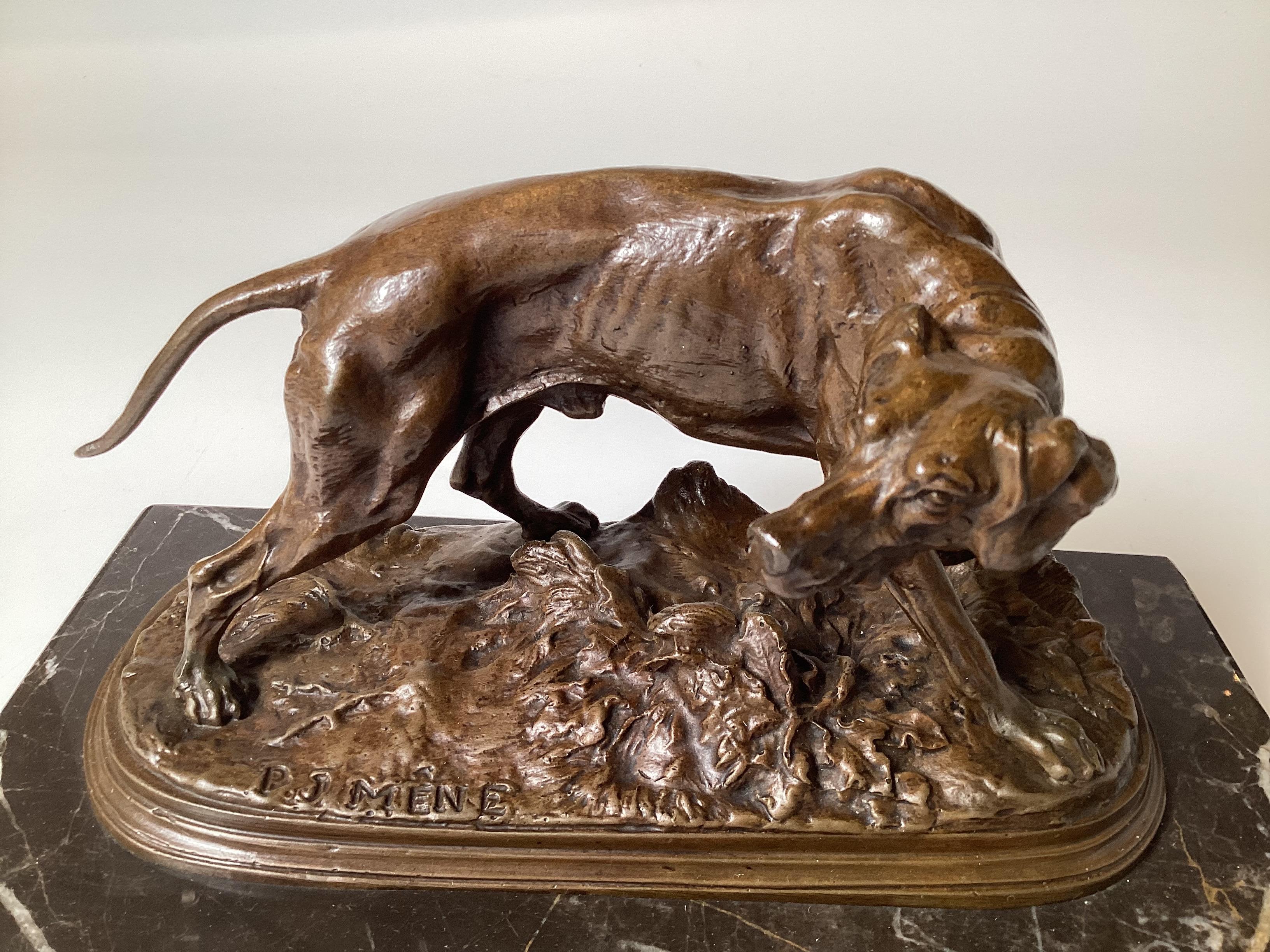 Modello di cane in bronzo, dopo Pierre-Jules Mene (francese 1810-1879), fine XIX/inizio XX secolo. Comprende un cane da caccia montato su una base di marmo con patinatura originale su bronzo, largo 10,5 pollici, alto 6 pollici, largo 5,5 pollici. 