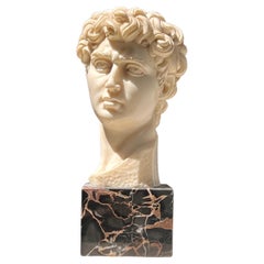 A small neoclassical bust of the David by G. Ruggeri, signed, 20th century